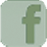 icona facebook